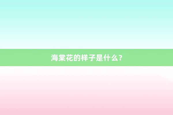 海棠花的样子是什么？