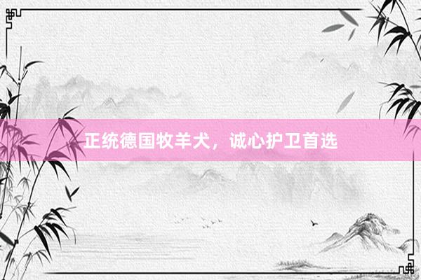 正统德国牧羊犬,诚心护卫首选