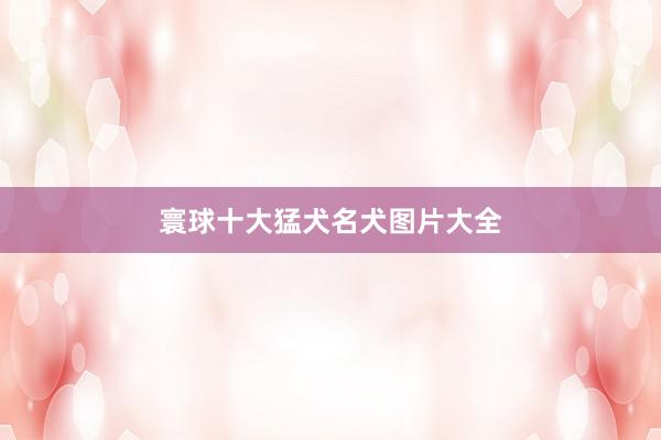 寰球十大猛犬名犬图片大全