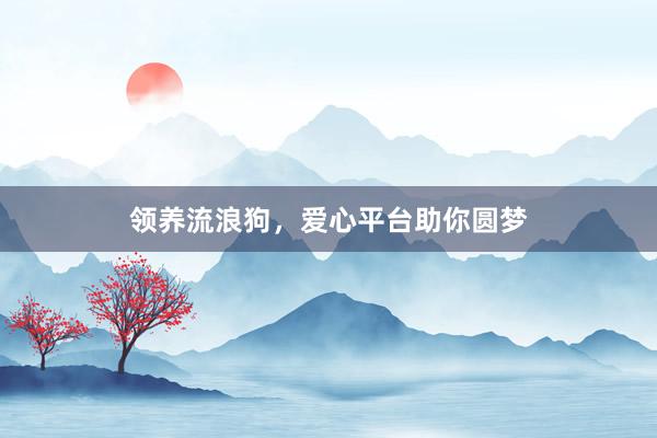领养流浪狗，爱心平台助你圆梦